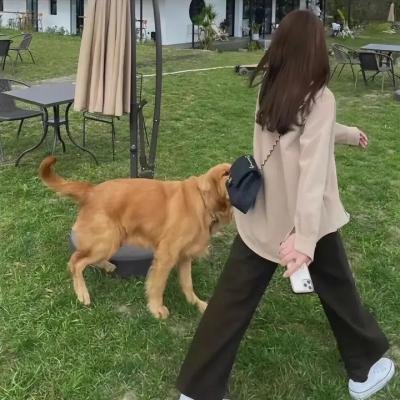 好汉两个半第十季