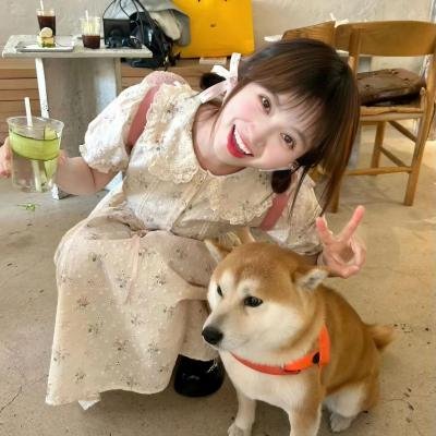 浪子娇娃