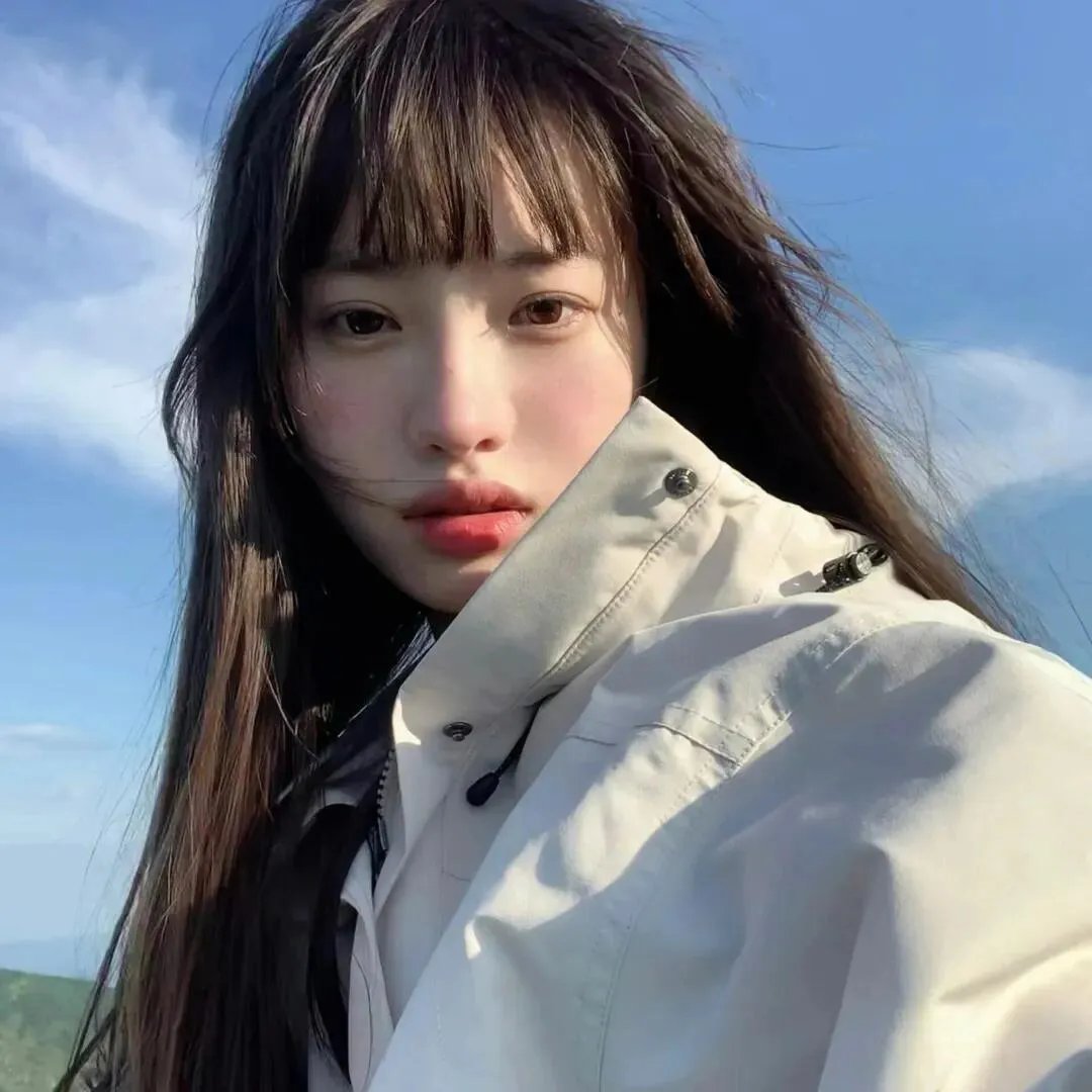 彩岛人生